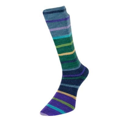 Evolution Sock Stripes