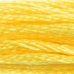 DMC embroidery thread