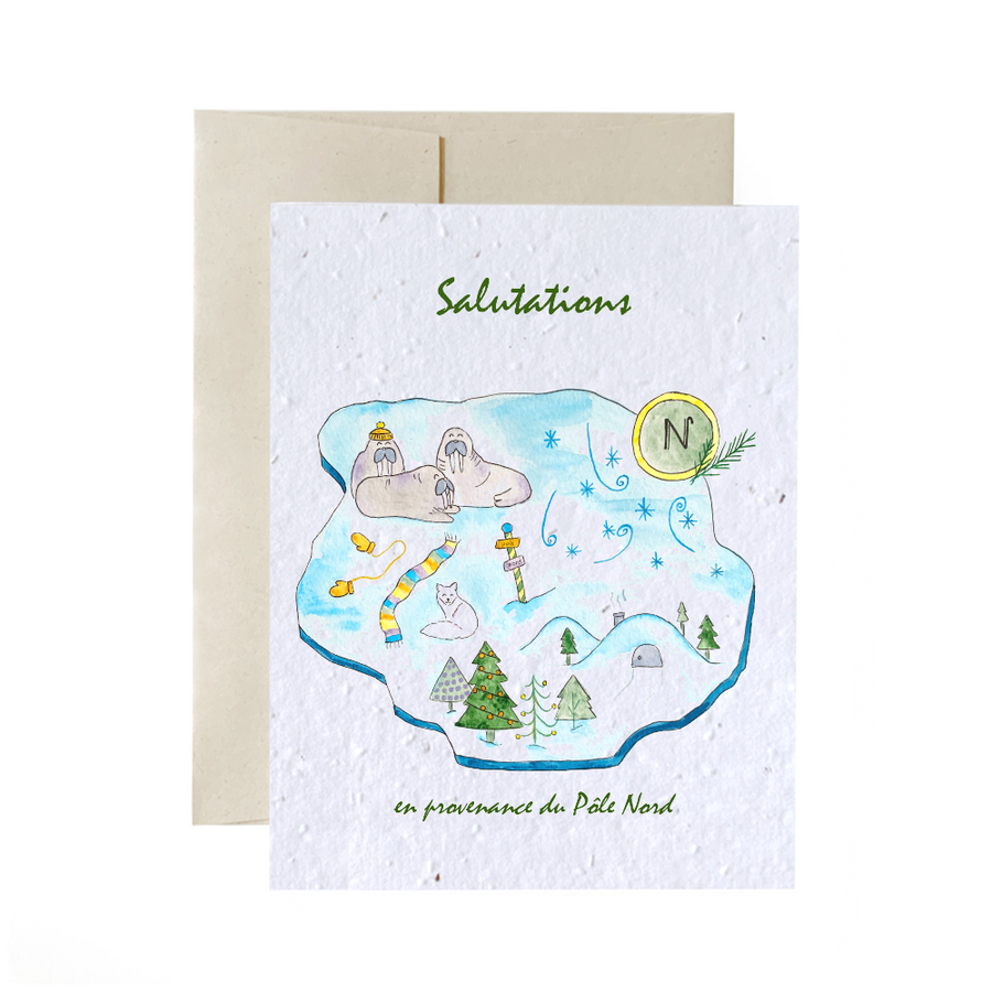 Plantable greeting cards