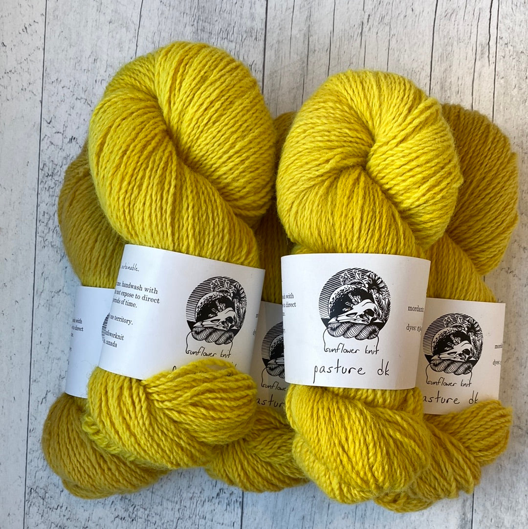 Pasture DK