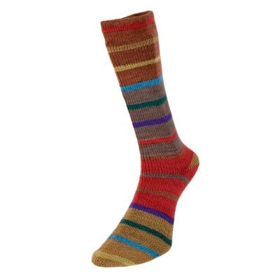 Evolution Sock Stripes