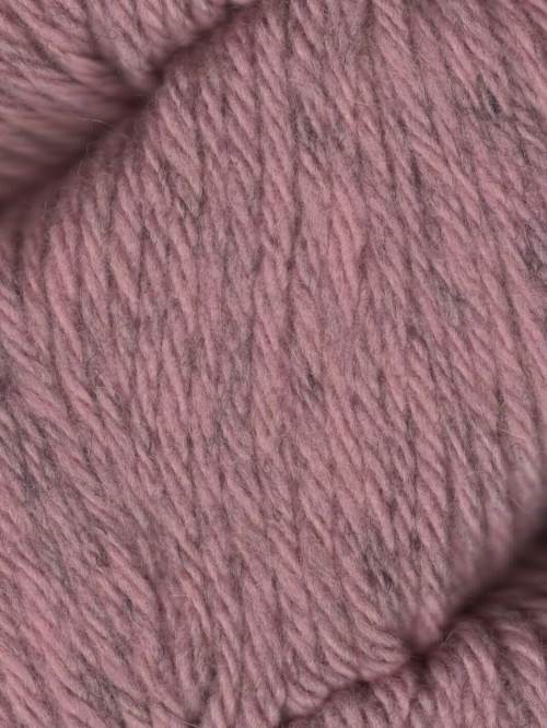 Santa Cruz Organic Merino