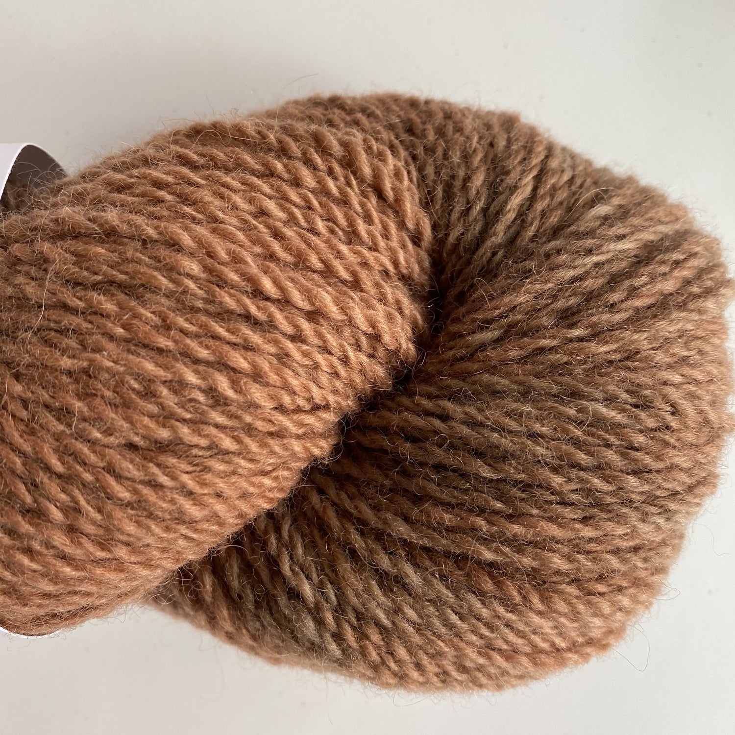 Pasture DK