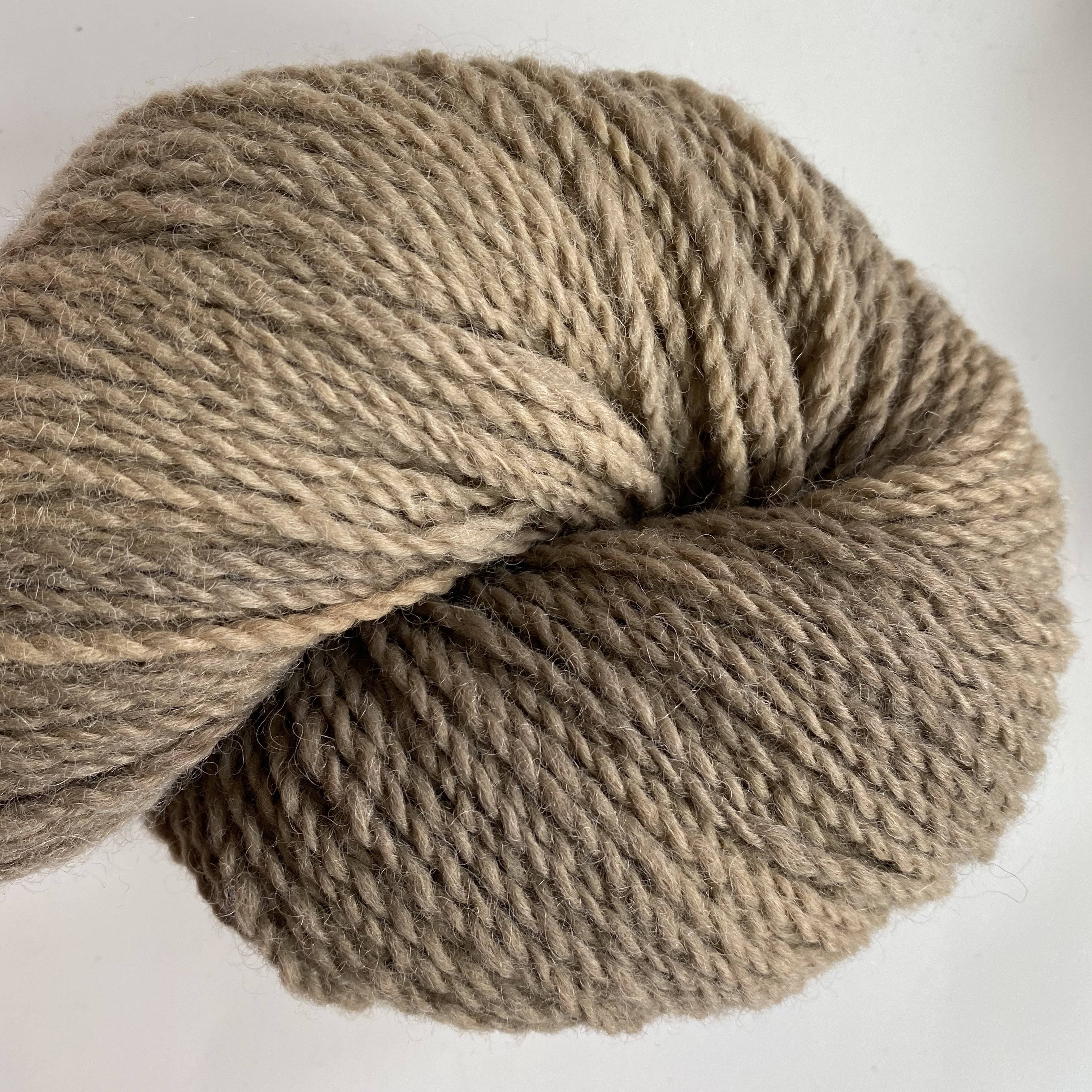 Pasture DK