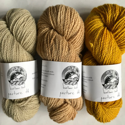 Pasture DK