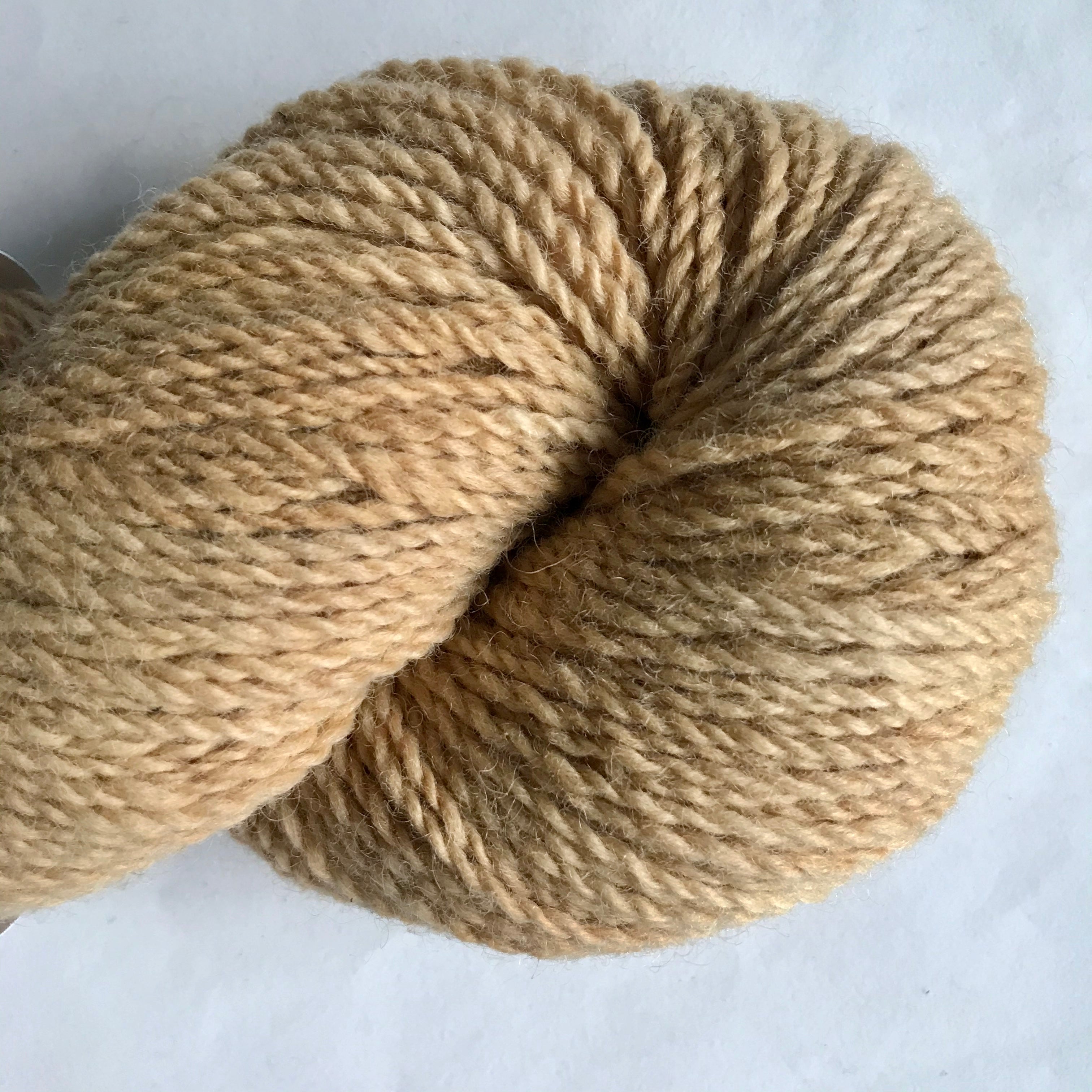 Pasture DK