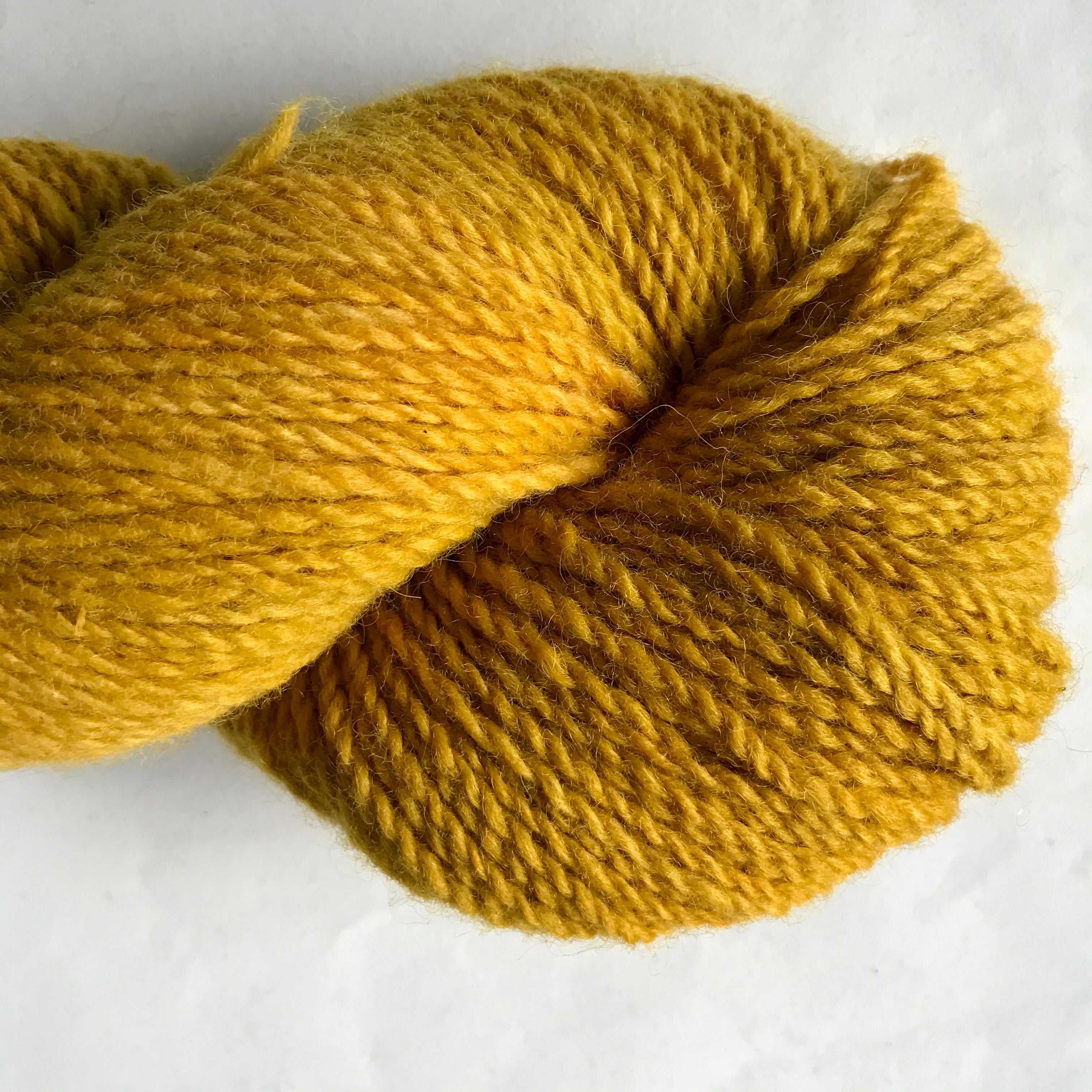 Pasture DK